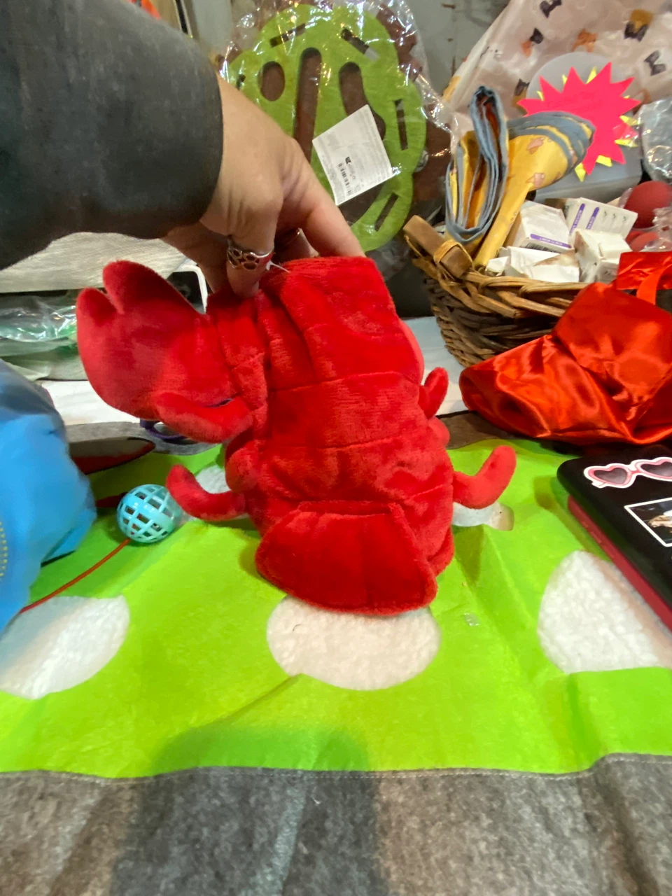 Crab costume for your puppy kitty