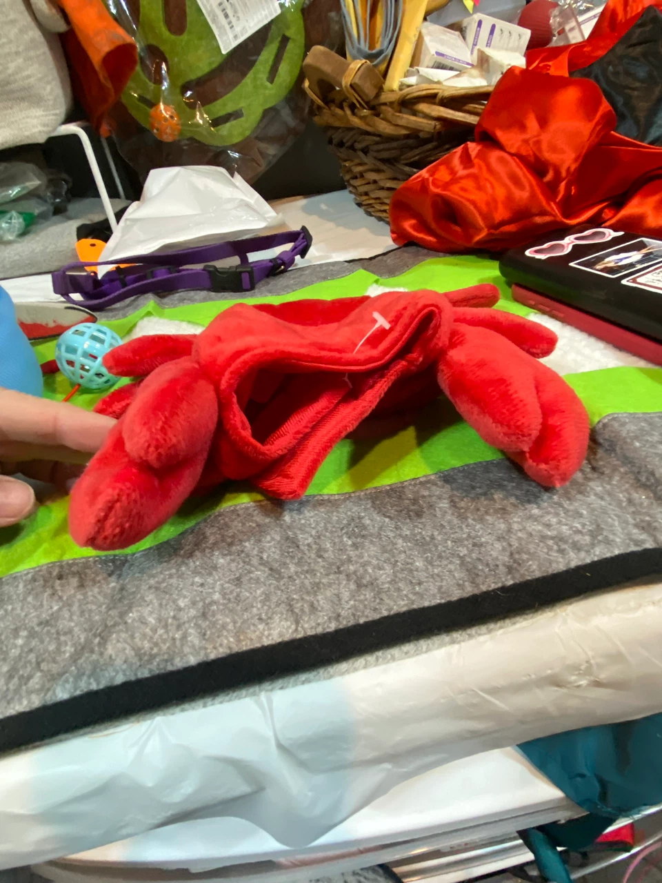Crab costume for your puppy kitty - photo 2