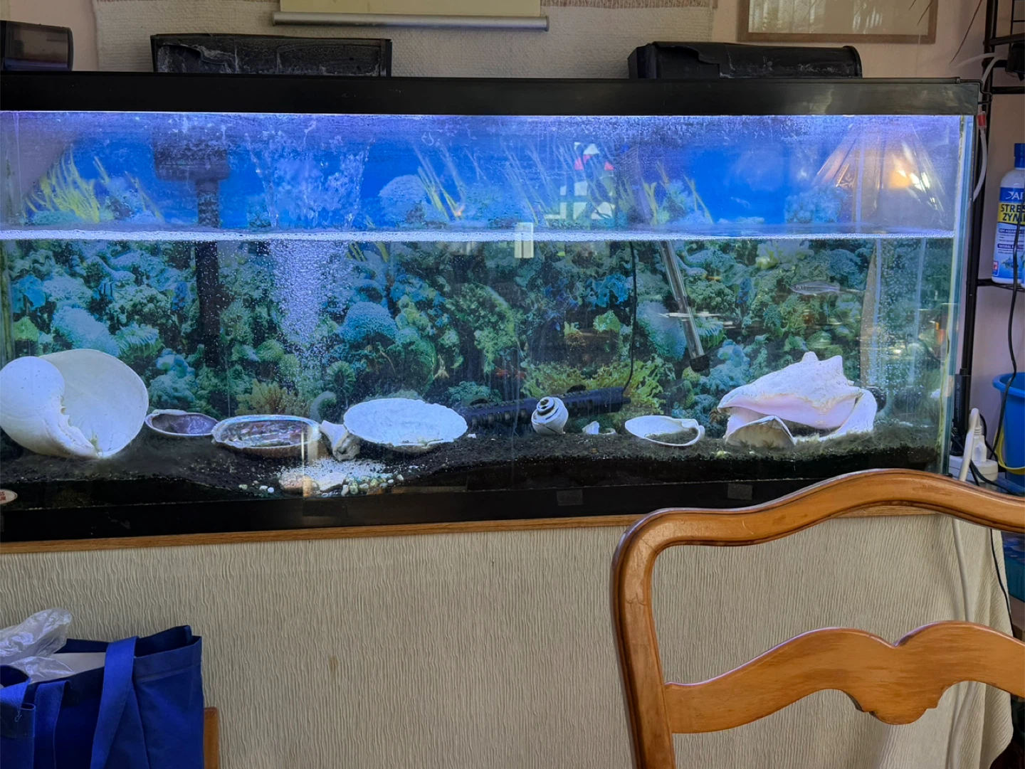Large Glass Aquarium with Filtration System - photo 2