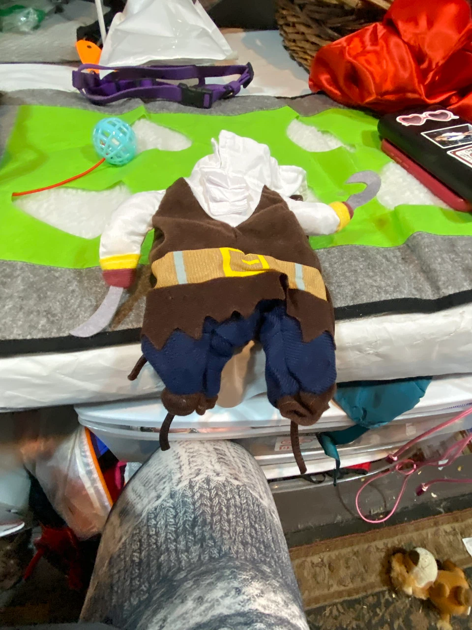 Doggy pirate costume xs