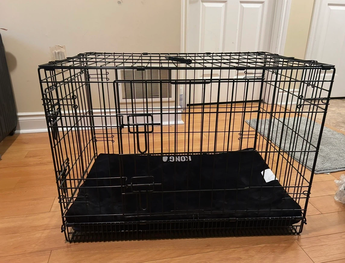 KONG Dog Crate with Pad