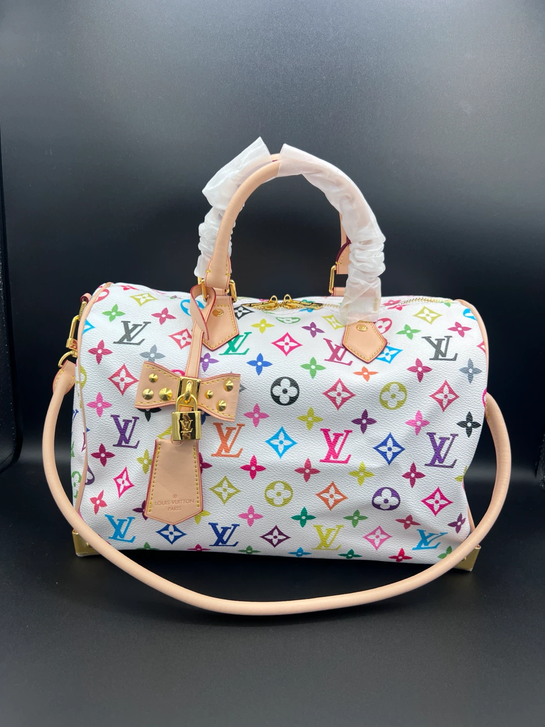 Louis Vuitton Multicolor Speedy Bag