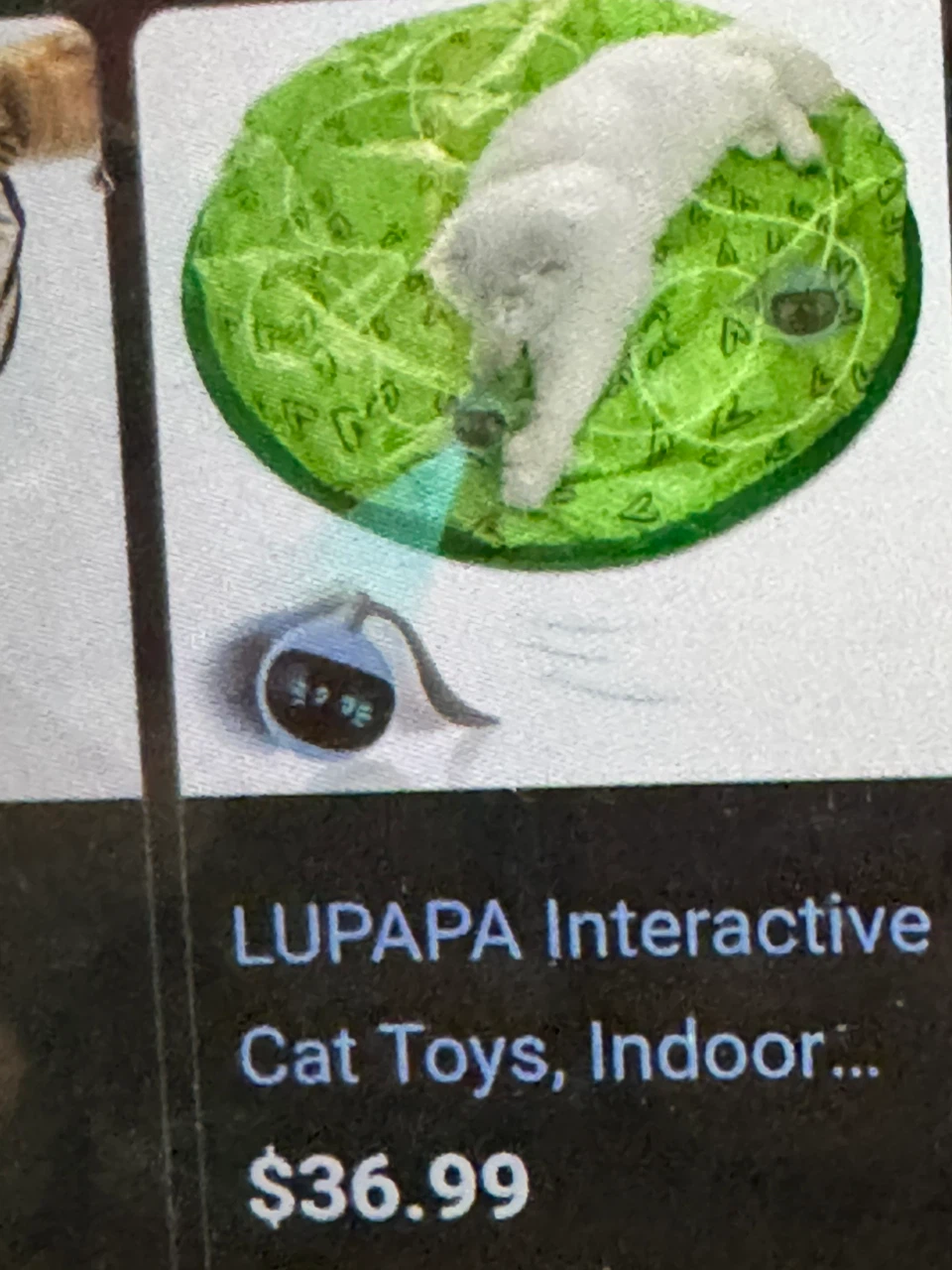 Cat interactive play mat with wiggly toy in the middle