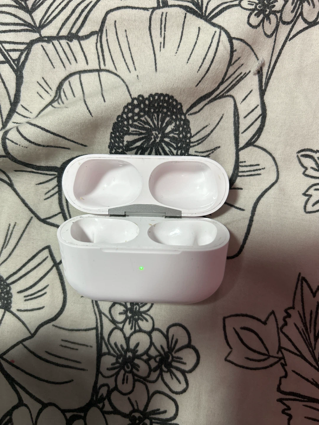 Apple AirPods Pro Charging Case