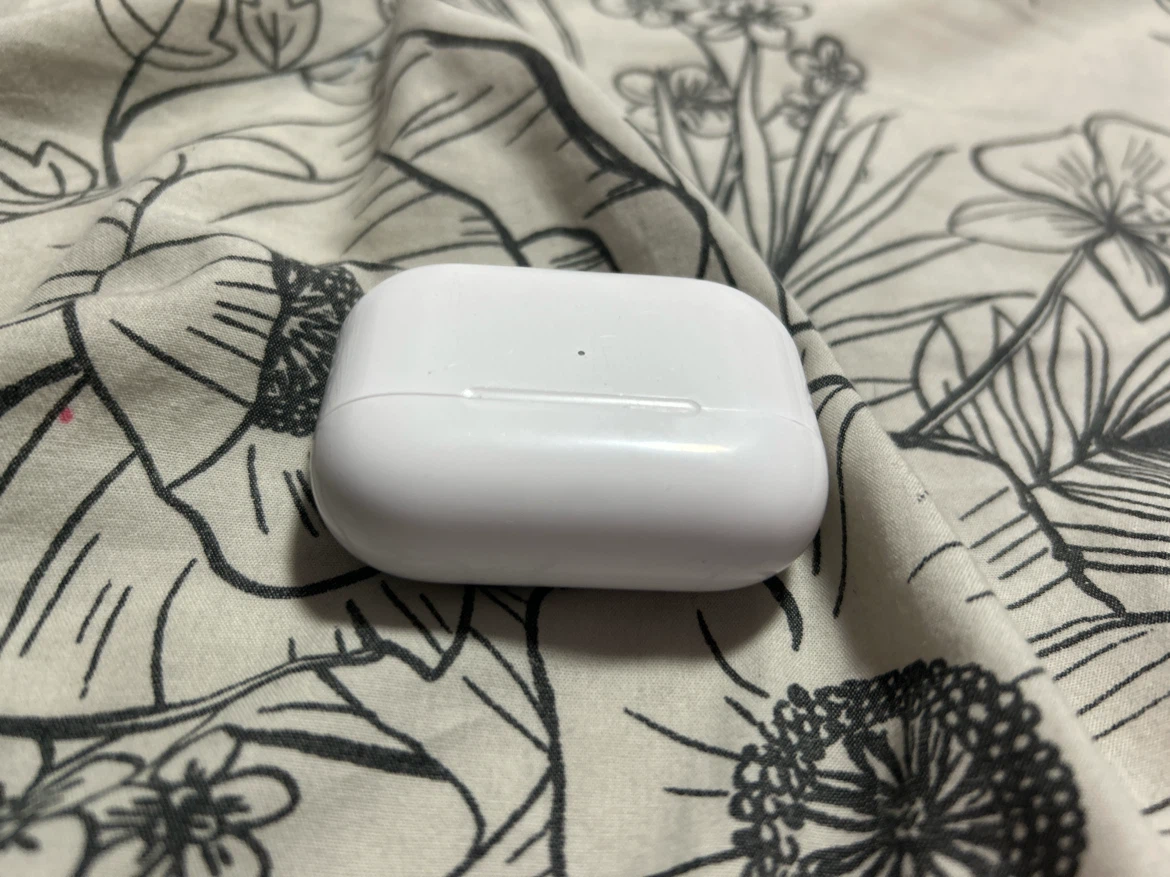 Apple AirPods Pro Charging Case - photo 3