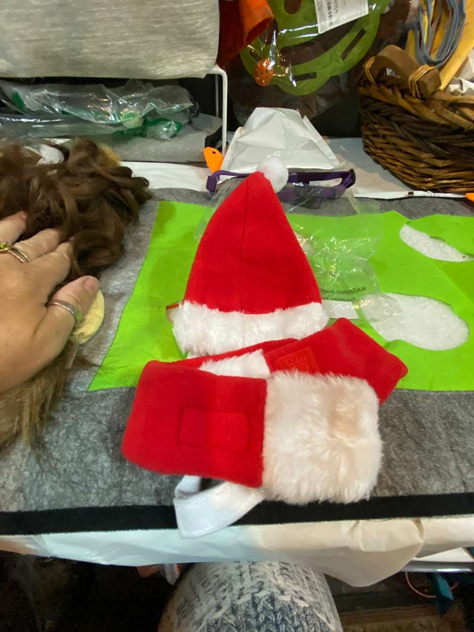 Santa costume for your pet
