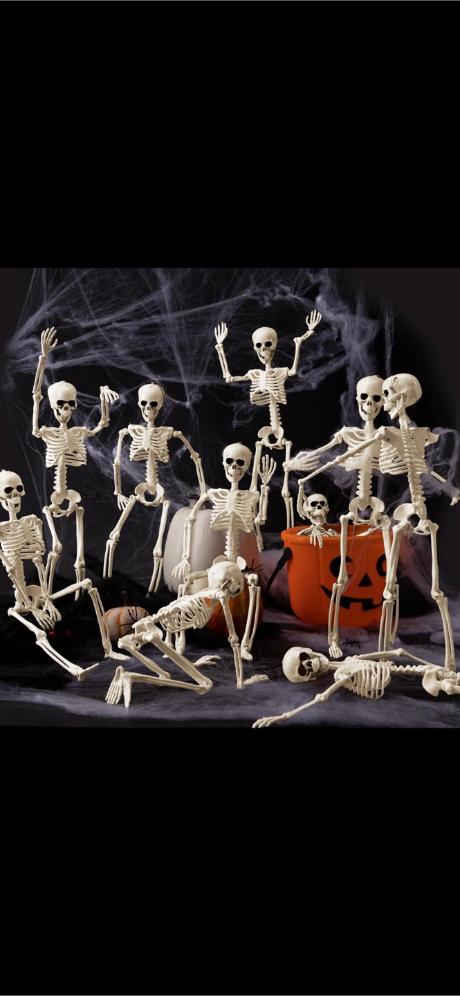 New Set of 8 Posable Halloween Skeletons