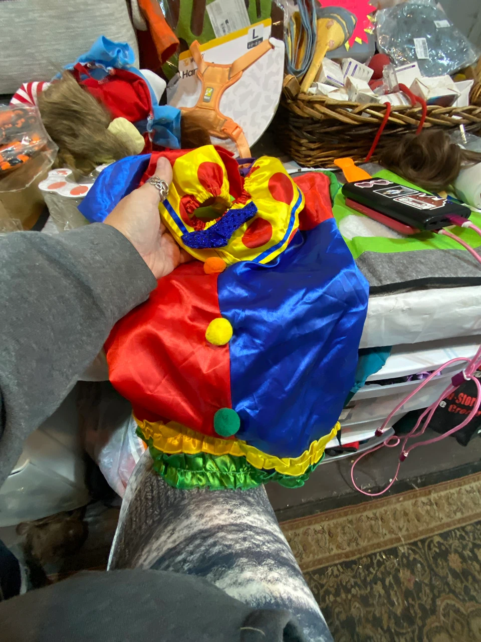 Superman costume dog