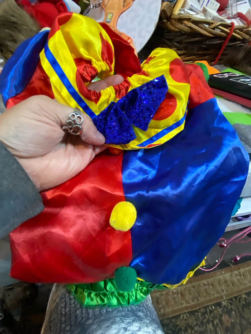 Superman costume dog - photo 2