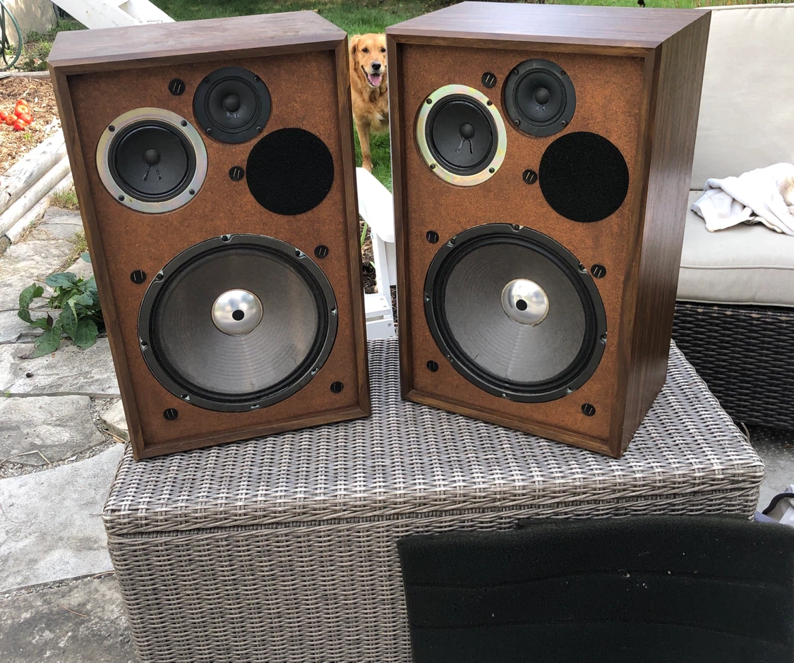 Pro-Linear Acoustics EDS 660 Speakers