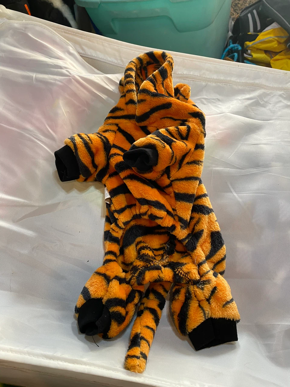 Tigger dogs consume