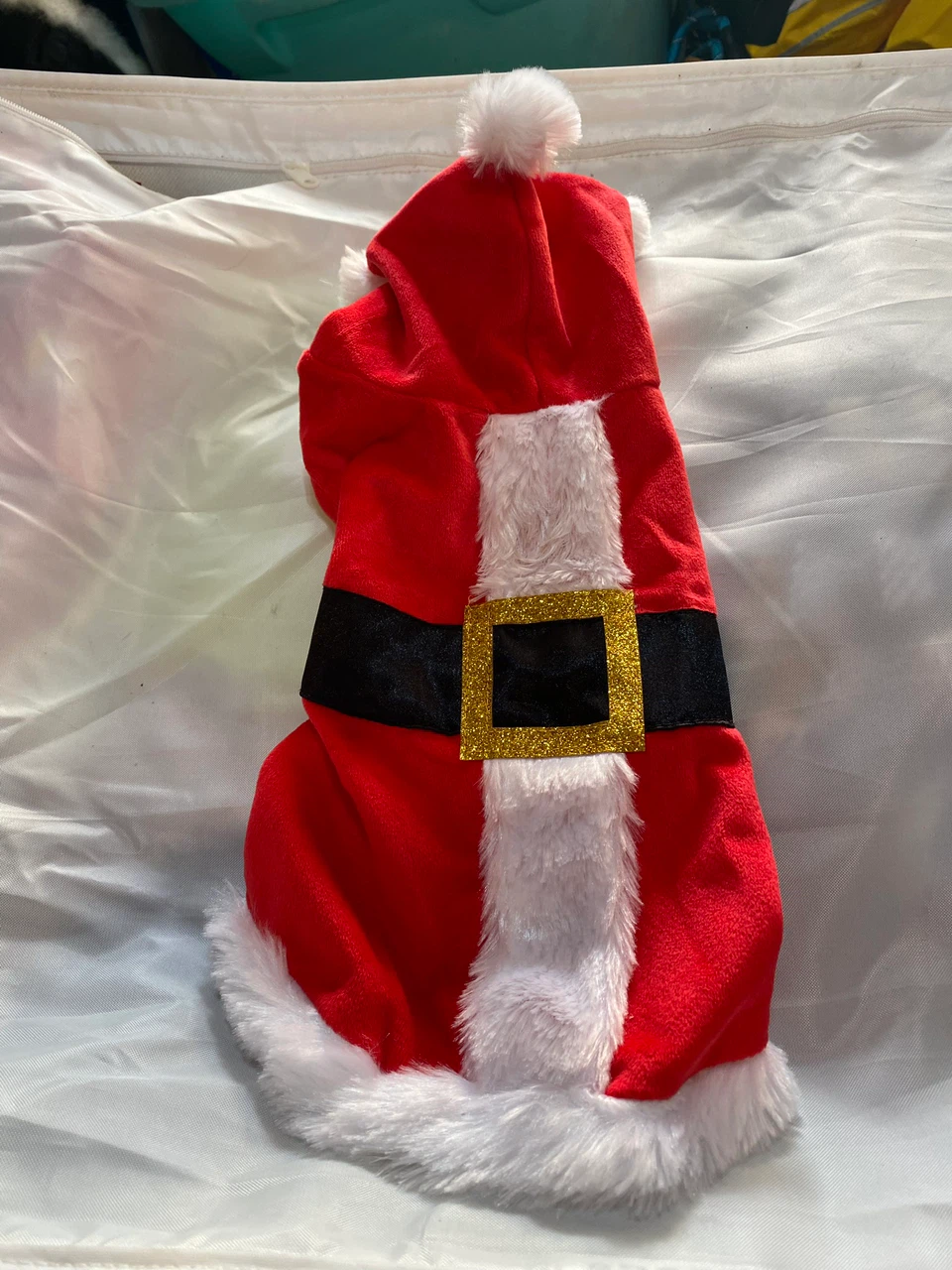 Christmas costumes for puppy