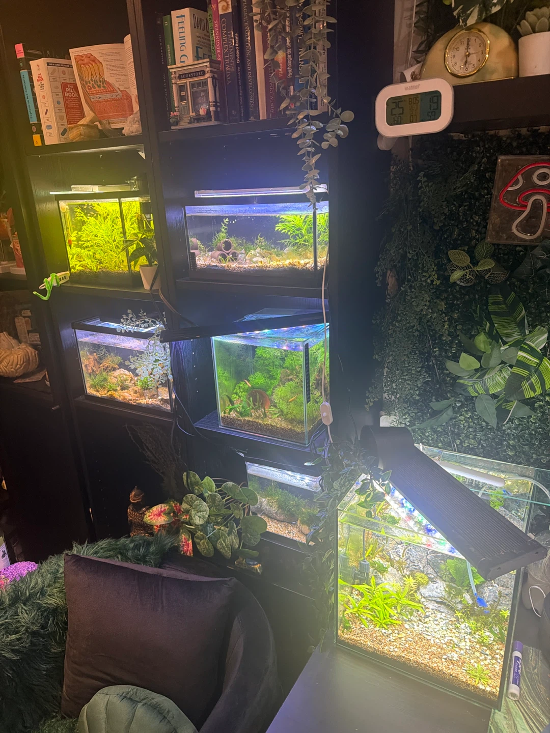 10 established aquarium fully equipped from 1.5 to 40 gallons