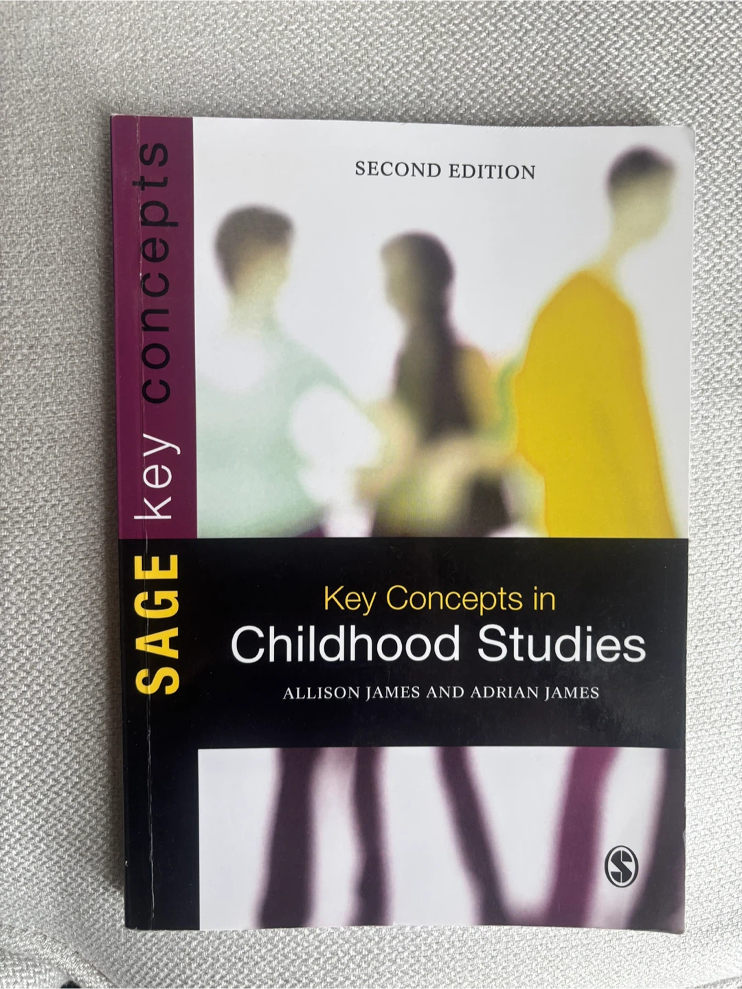 Three Childhood Studies Textbooks - photo 2