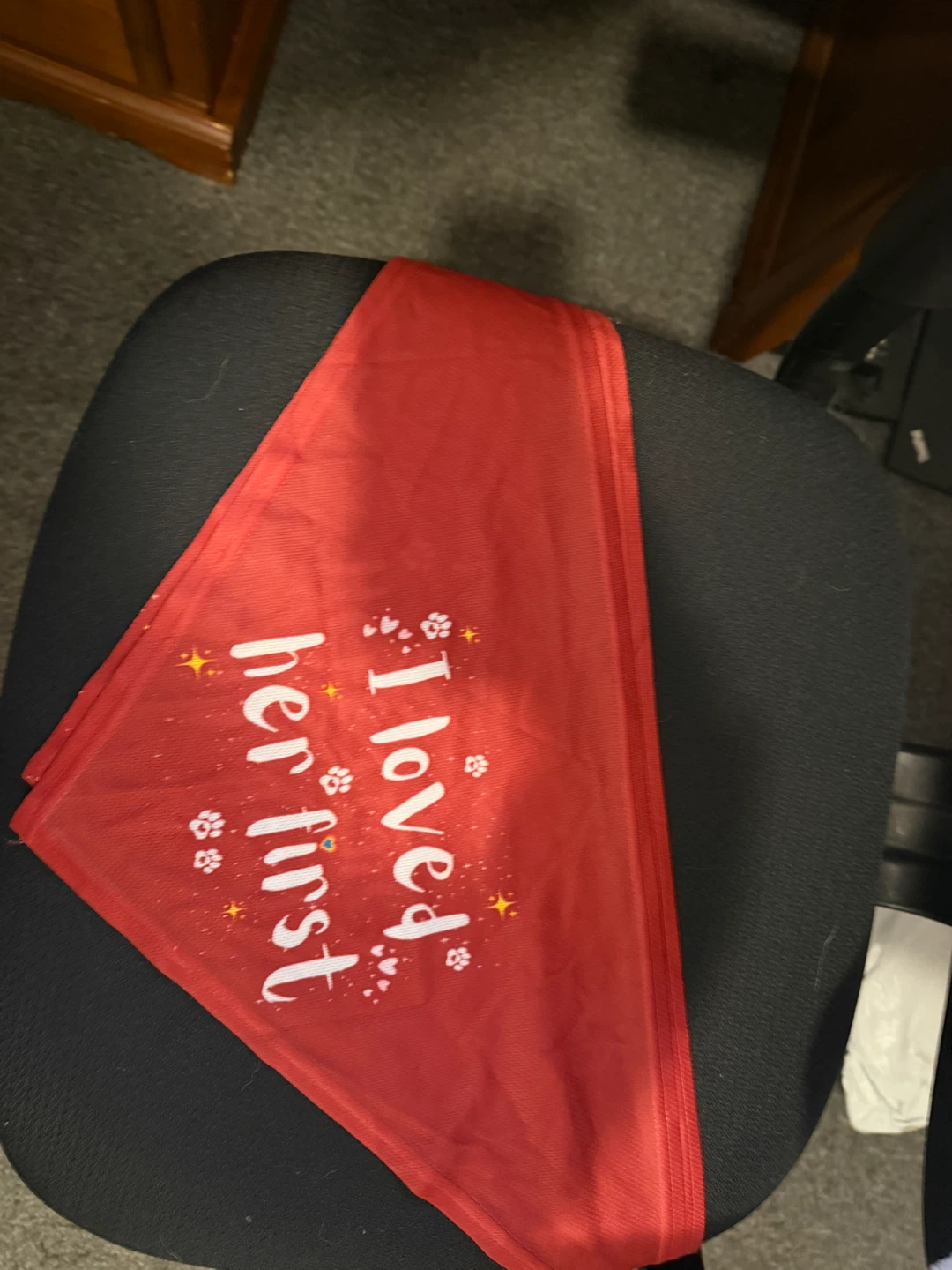 Red pet bandana with text