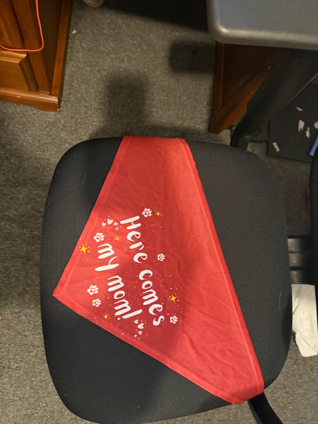 Red pet bandana with text - photo 2