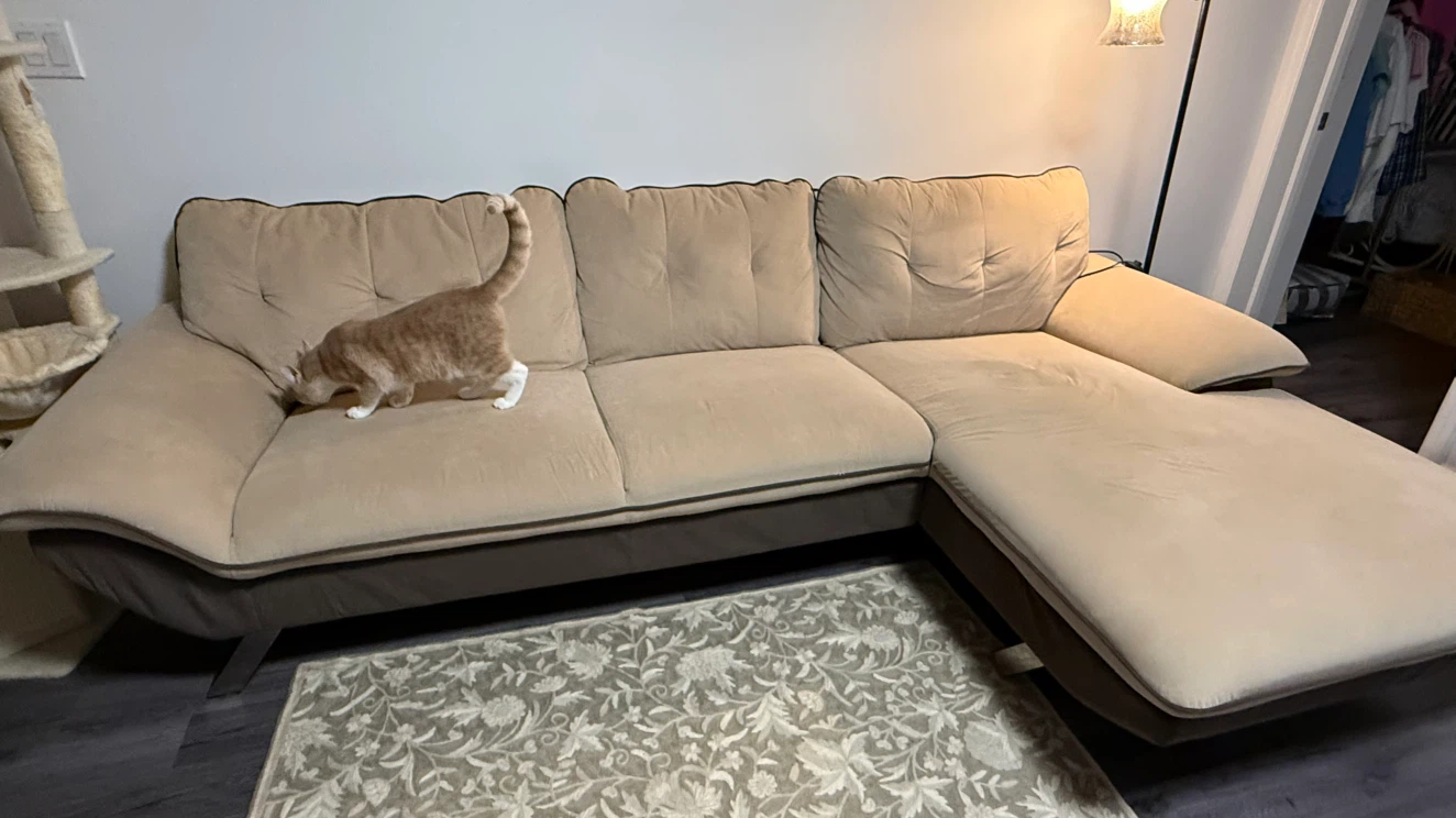 Beige and Brown Sectional Sofa with Chaise - photo 2