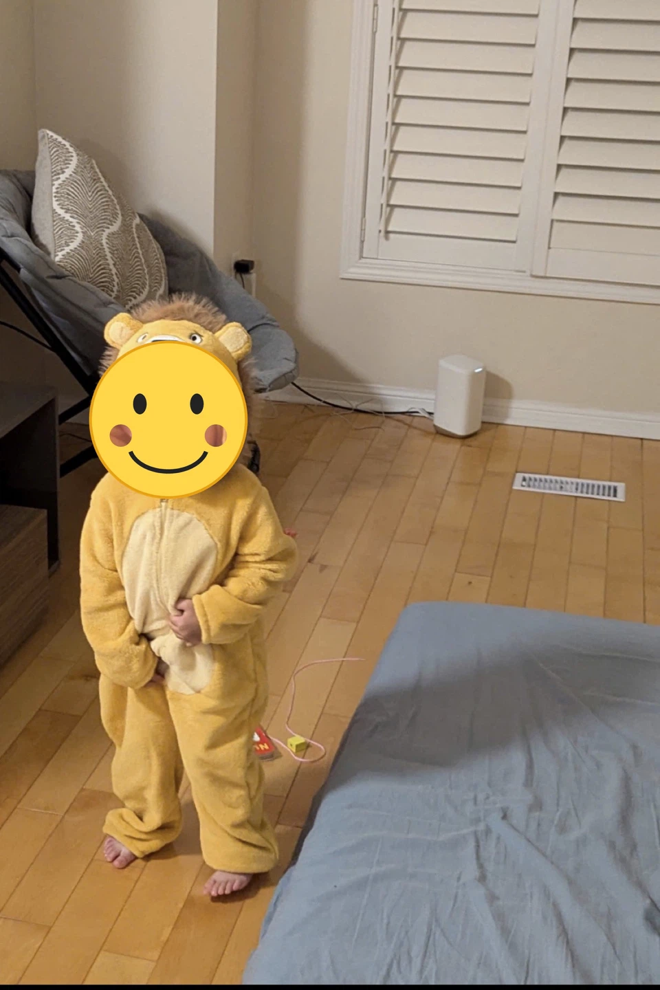 H&M Lion Costume - photo 3