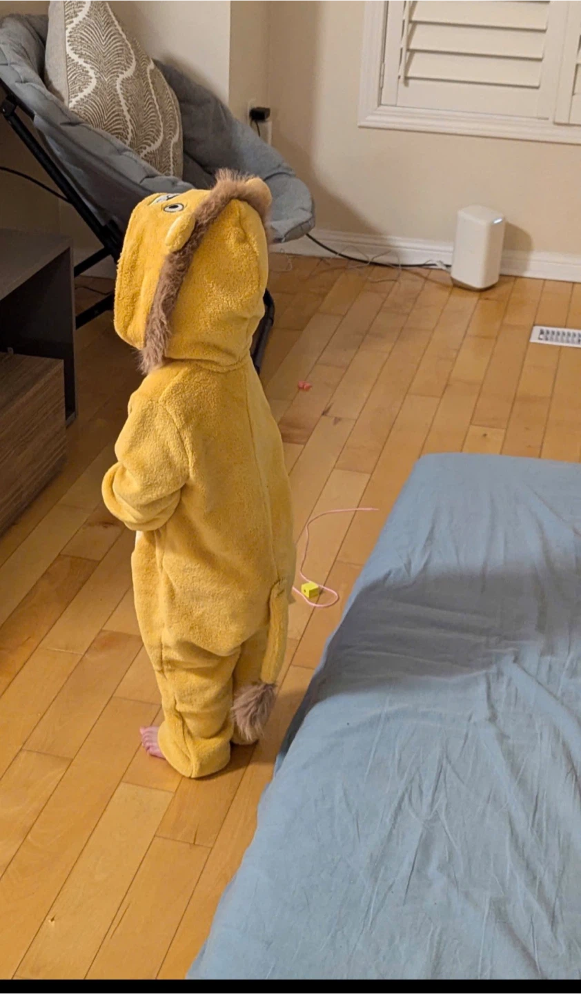 H&M Lion Costume - photo 4