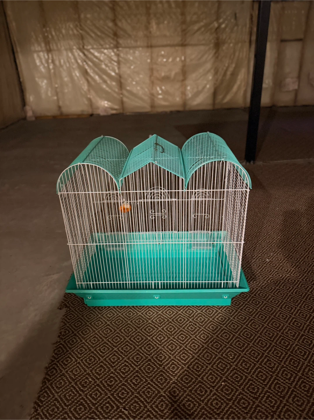 Teal and White Bird Cage