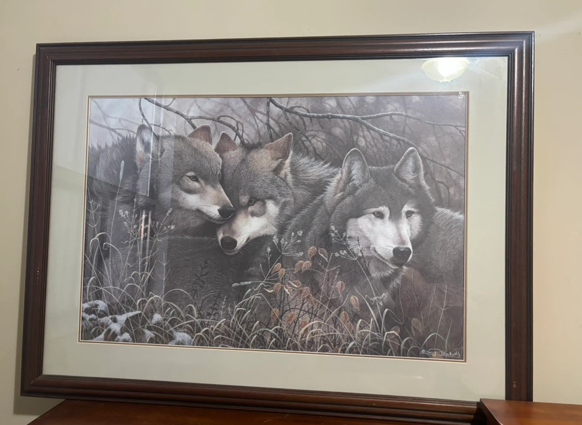 Nei Blackwell Framed Wolf Print