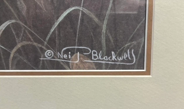 Nei Blackwell Framed Wolf Print - photo 2