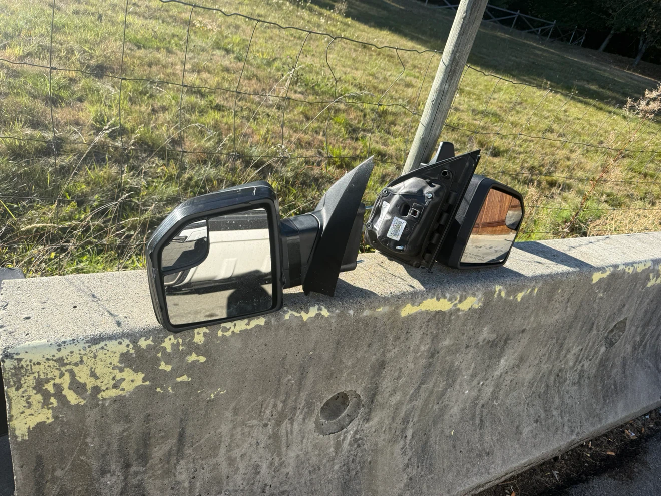 Ford F-150 Side Mirrors Set