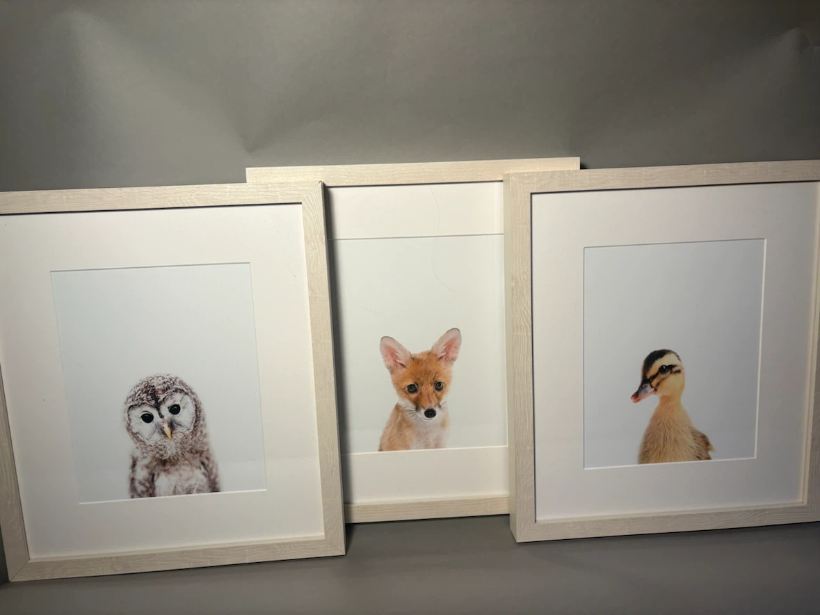 Set of 6 Animal Wall Art Prints