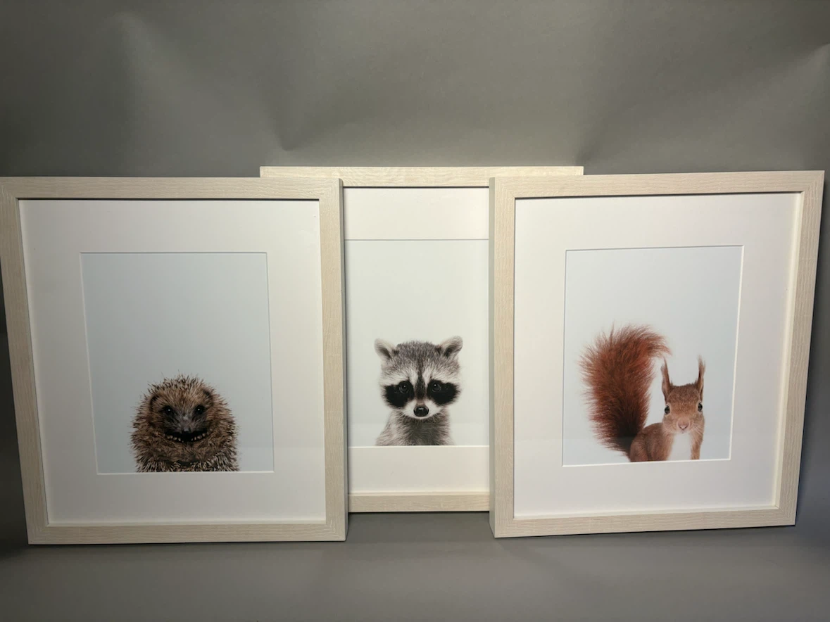 Set of 6 Animal Wall Art Prints - photo 2