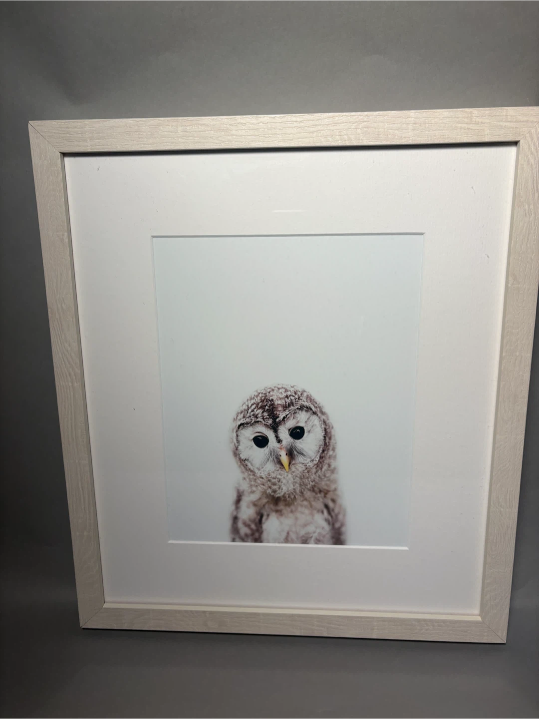 Set of 6 Animal Wall Art Prints - photo 3
