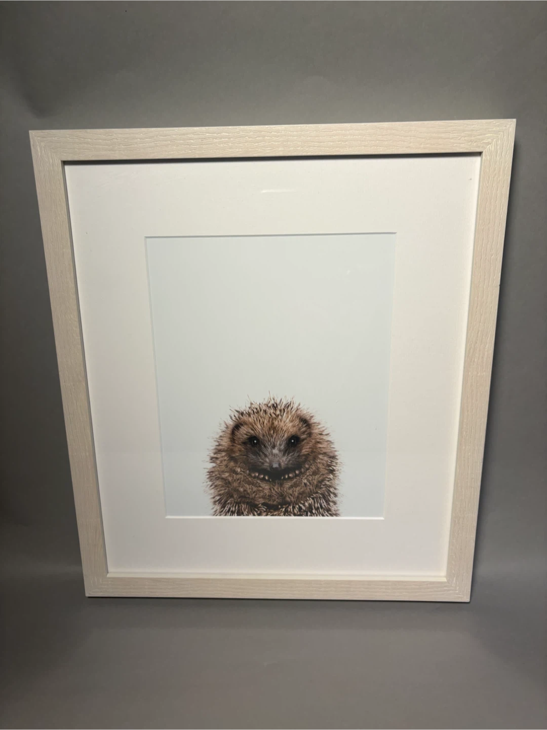Set of 6 Animal Wall Art Prints - photo 4