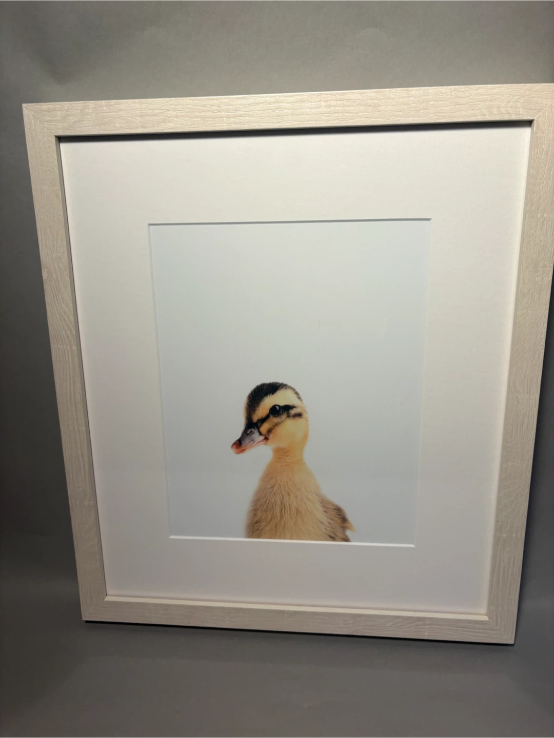 Set of 6 Animal Wall Art Prints - photo 5