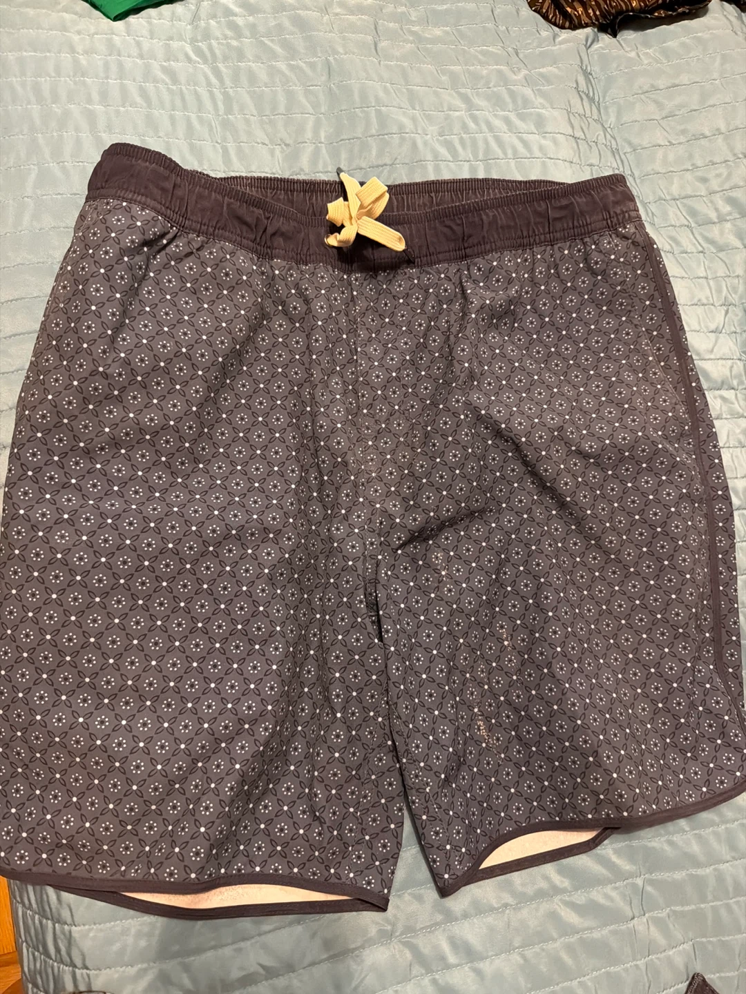 Fair Harbor swim shorts