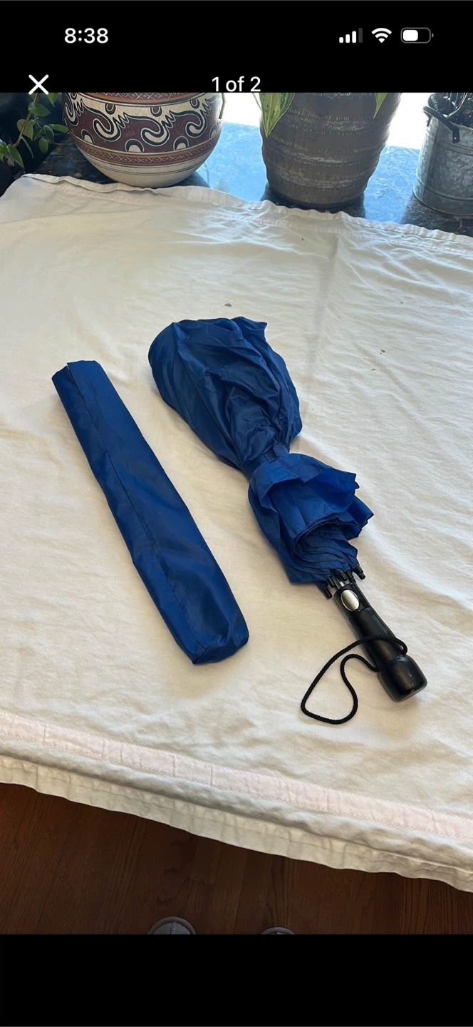 Blue Umbrella