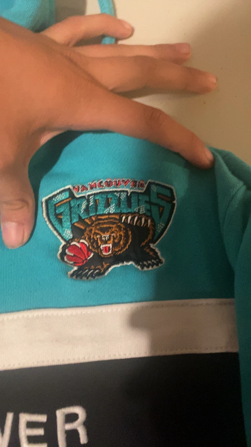 Vancouver grizzlies - photo 3