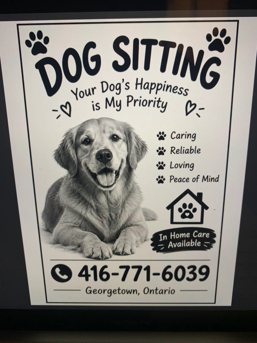 Dog sitting avail
