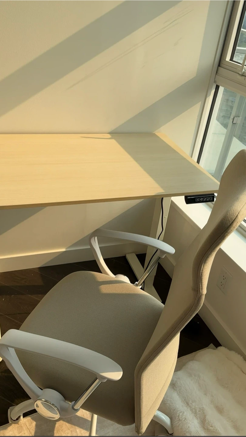 Ergonomic Office Desk Chair