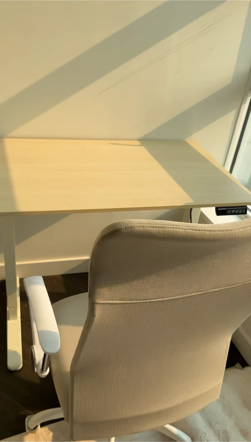 Ergonomic Office Desk Chair - photo 4