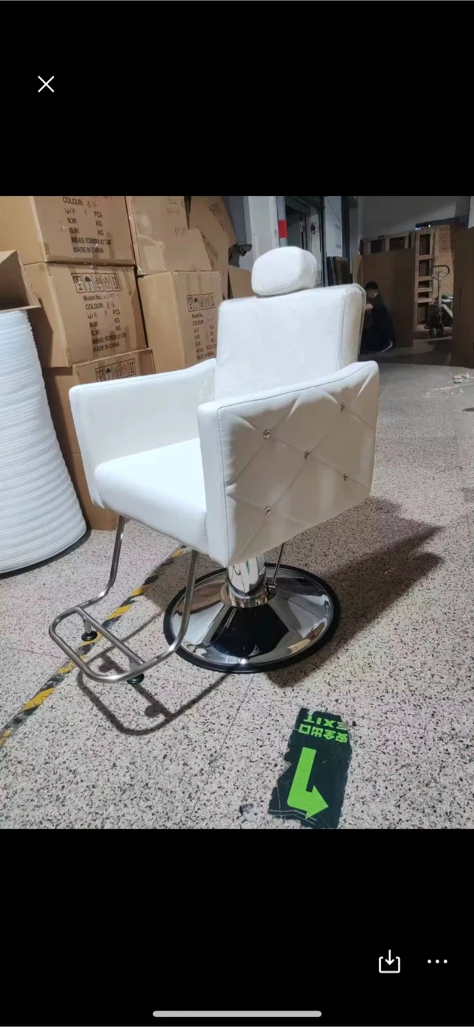 Salon Chair