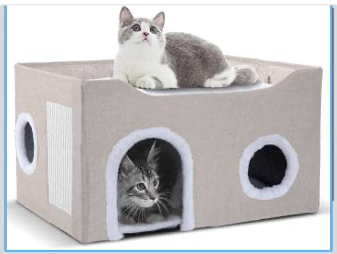 Collapsible Cat House and Bed