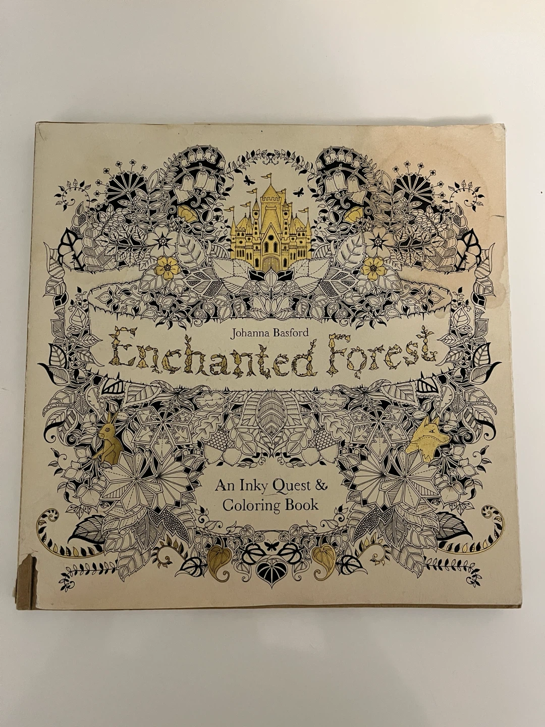 Enchanted Colouring Book