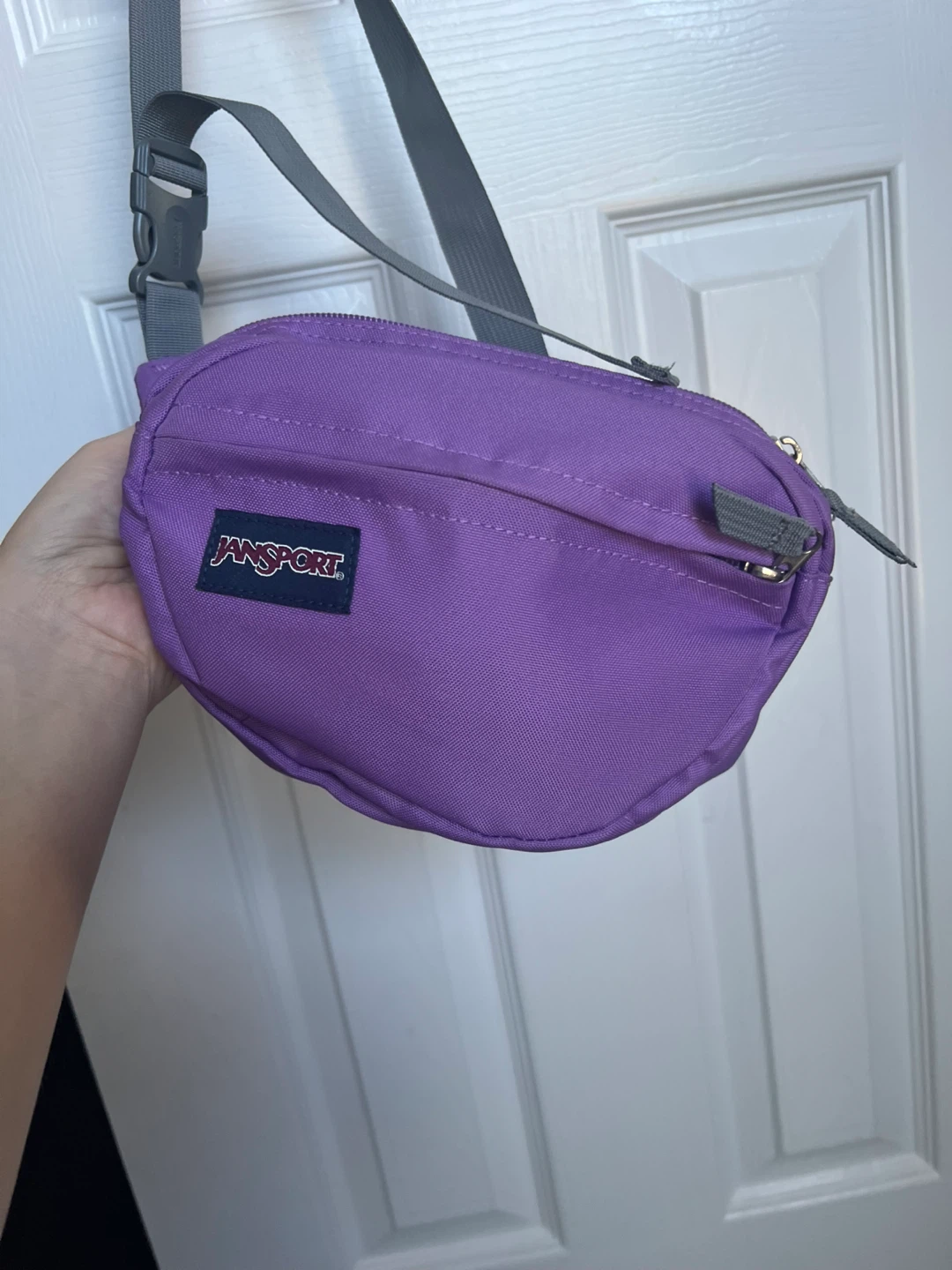 JanSport Purple belt/Crossbody Bag
