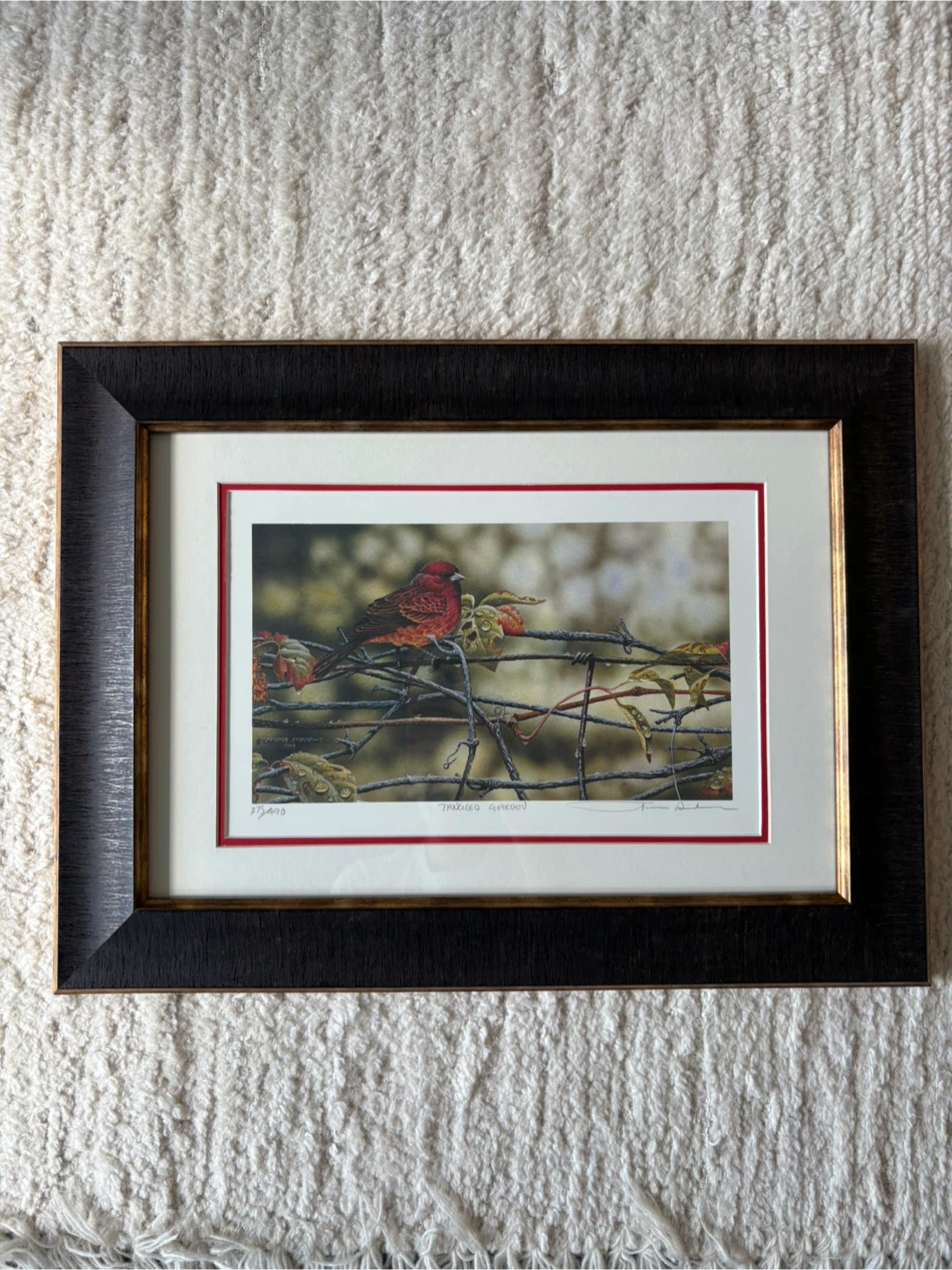 ORIGINAL Terrence Andrews Tangled Garden Framed Art Print