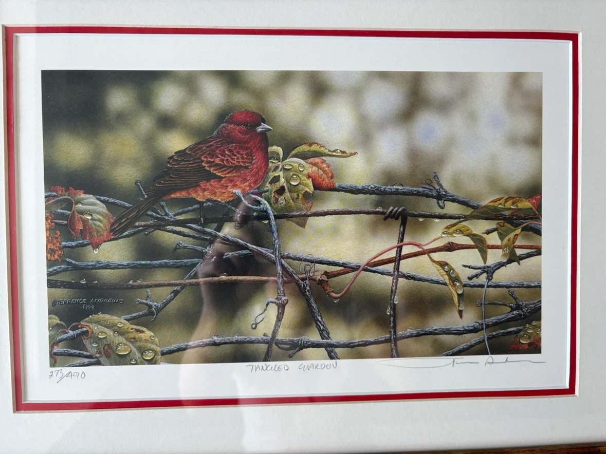 ORIGINAL Terrence Andrews Tangled Garden Framed Art Print - photo 2