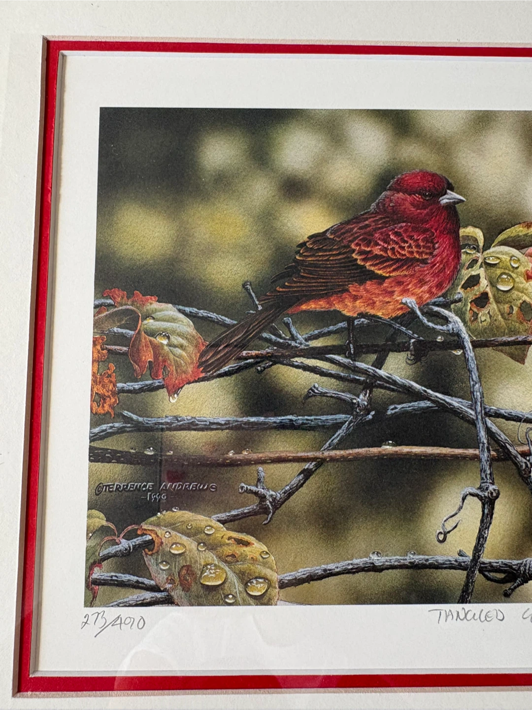 ORIGINAL Terrence Andrews Tangled Garden Framed Art Print - photo 3