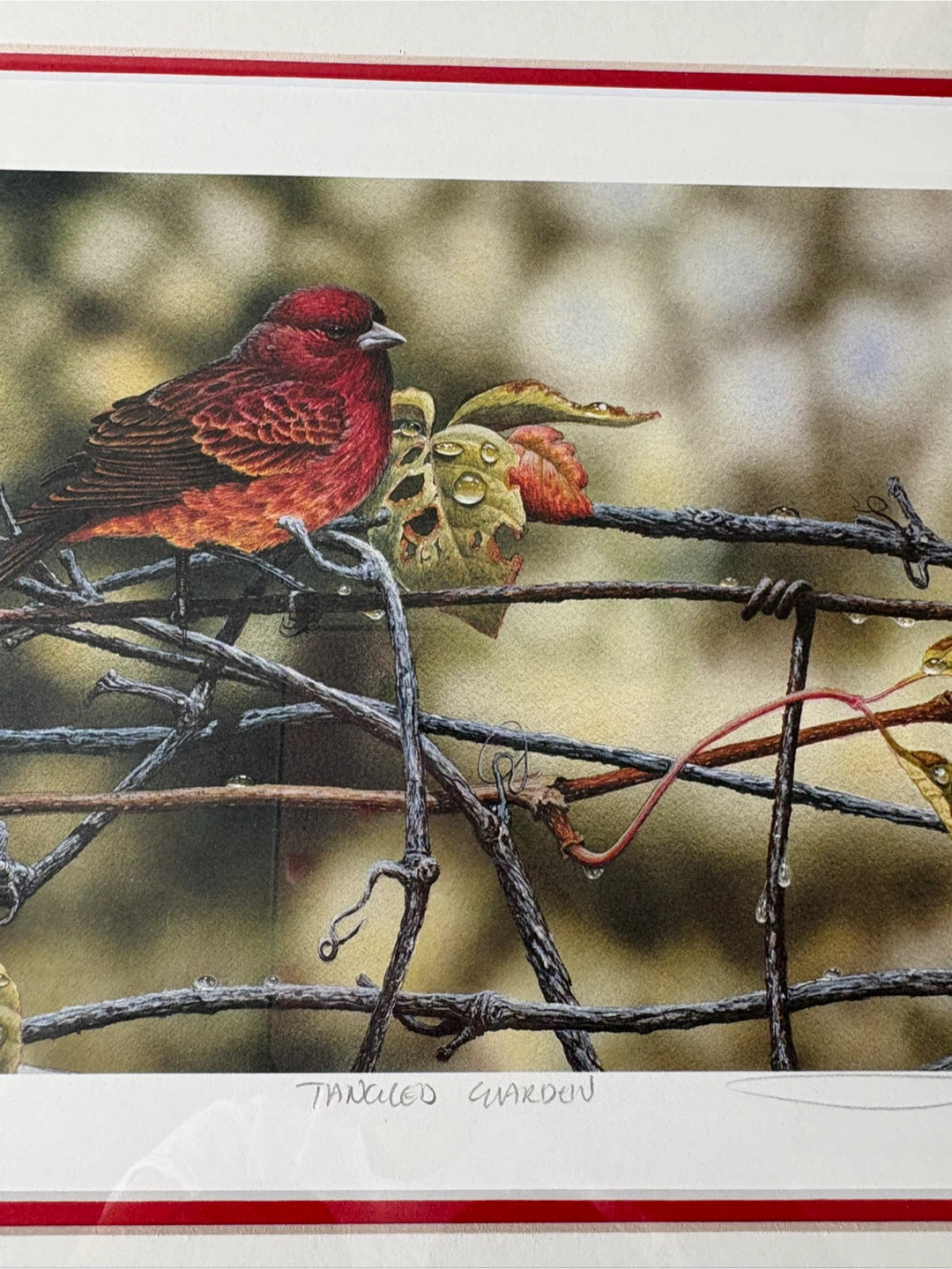 ORIGINAL Terrence Andrews Tangled Garden Framed Art Print - photo 4