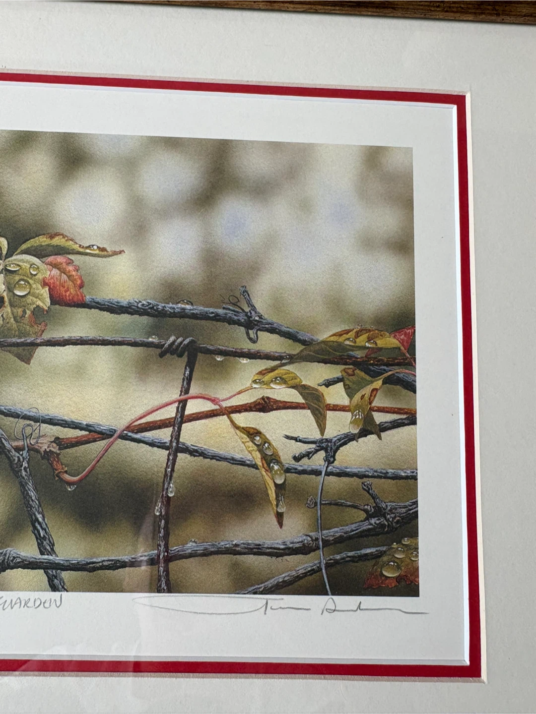 ORIGINAL Terrence Andrews Tangled Garden Framed Art Print - photo 5