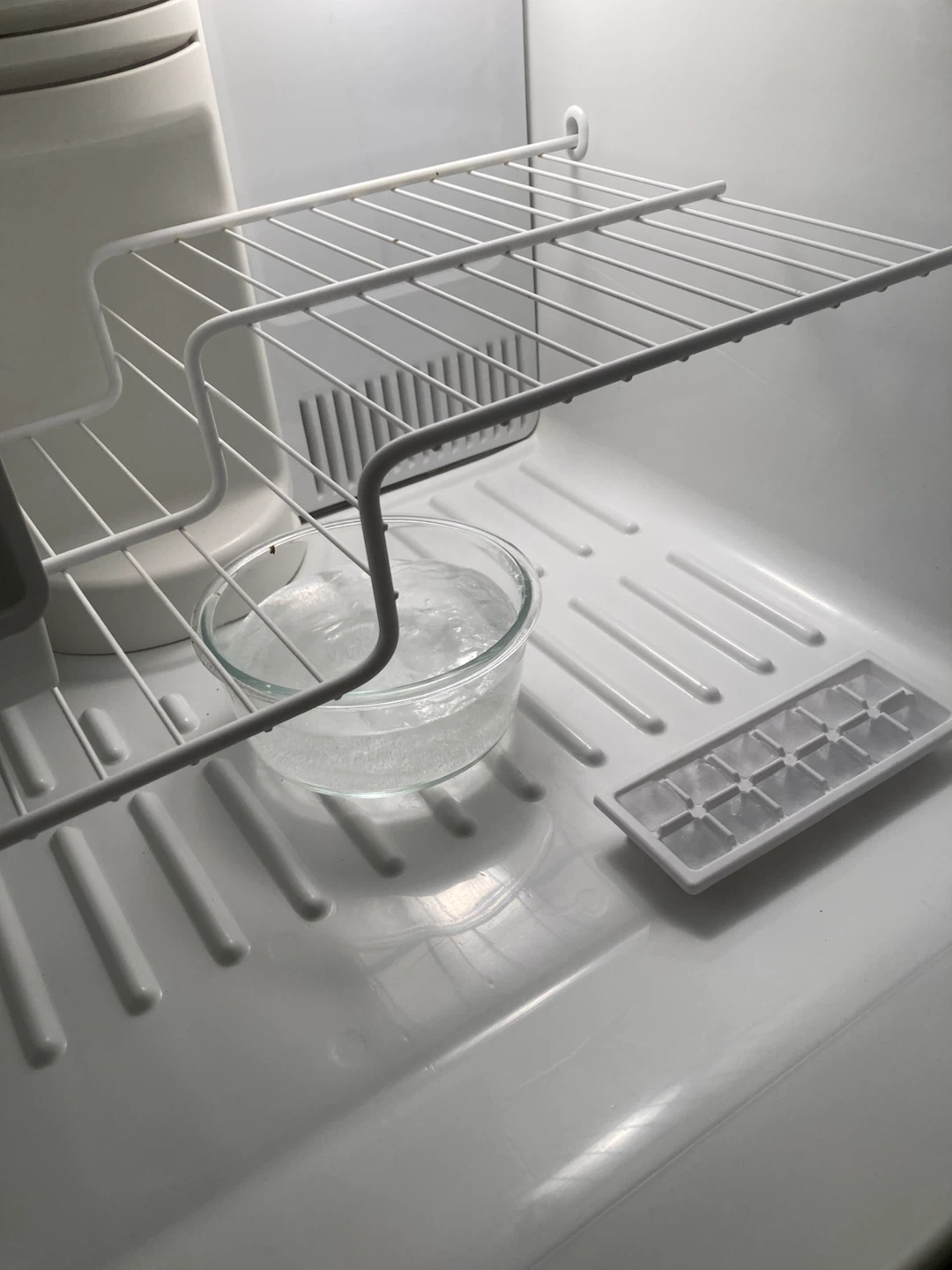 GE Profile Refrigerator - photo 4