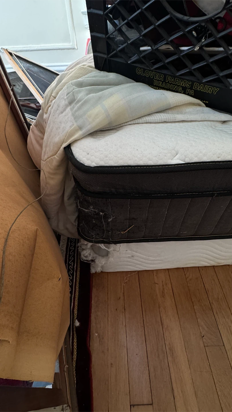 Full Size Mattress and Box. For free - photo 2