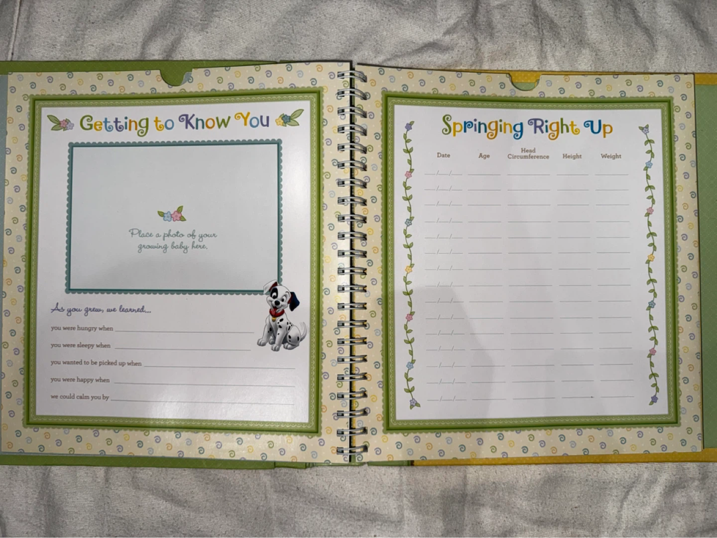 Disney Baby's First Year Memory Book - photo 3